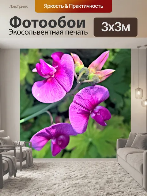 Фотообои Цветок