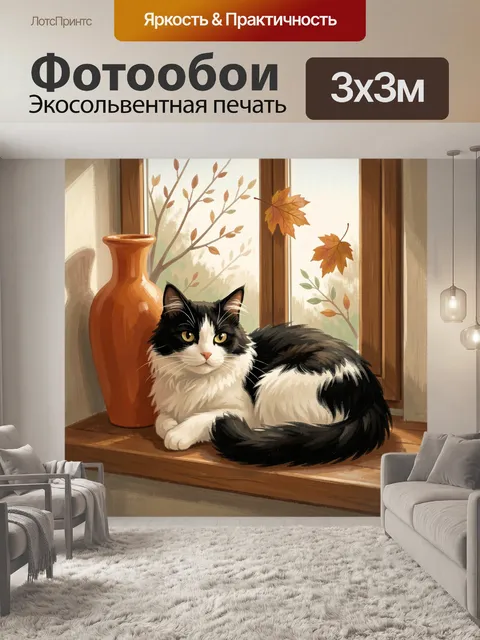 Фотообои Черно-белый кот у окна