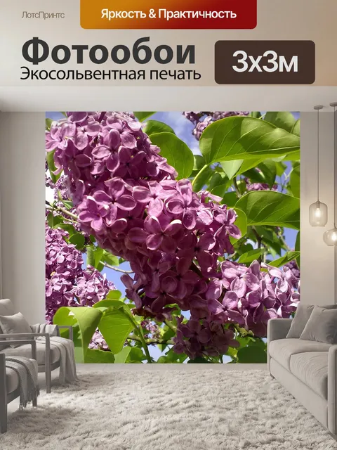 Фотообои В природе