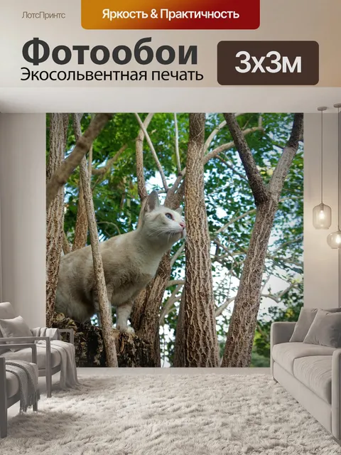 Фотообои Животное
