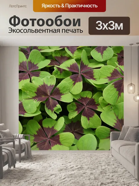 Фотообои Природа