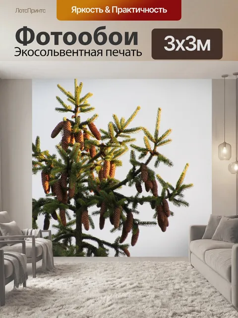 Фотообои Конус