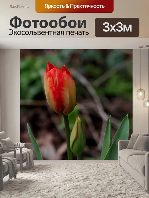 Фотообои Tuiipa