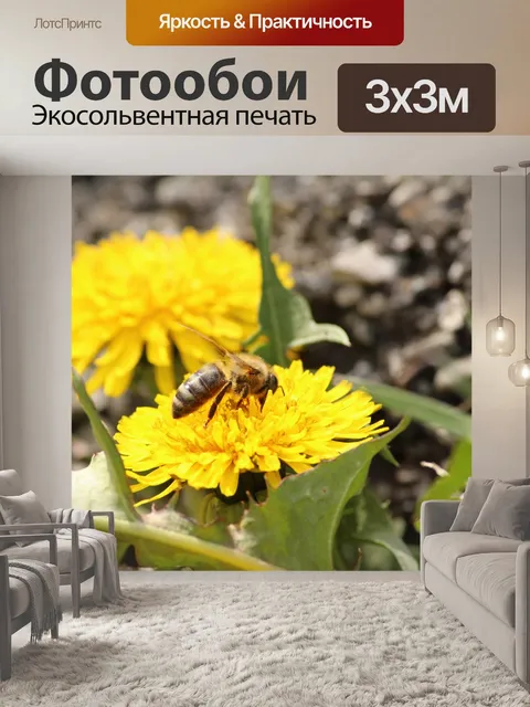 Фотообои Пчела на цветке