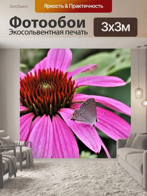 Фотообои Серая прическа на розовом цветке