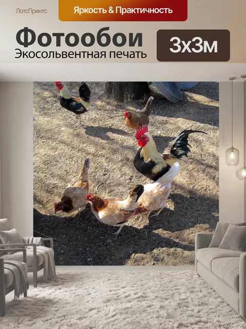 Фотообои куры кормления