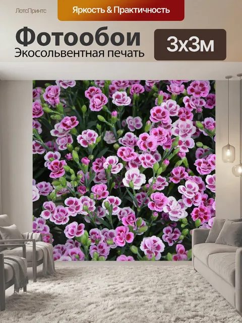 Фотообои Белые и розовые цветы