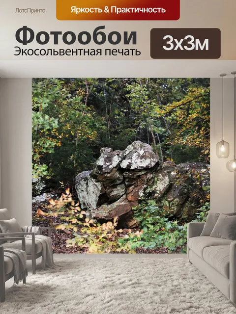 Фотообои Прекрасная рок-формация в лесу