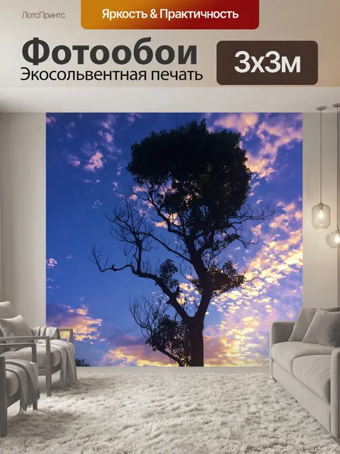 Фотообои Оцу парк