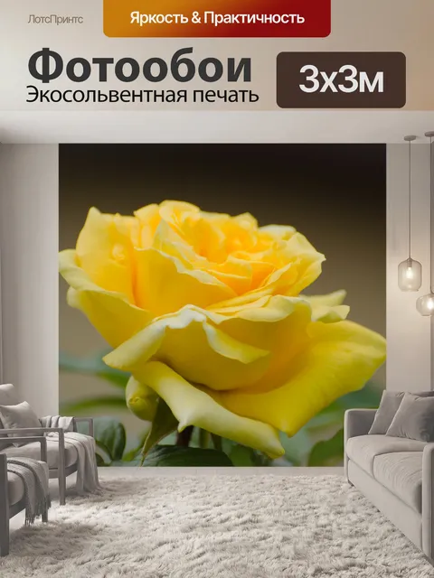Фотообои Цветок