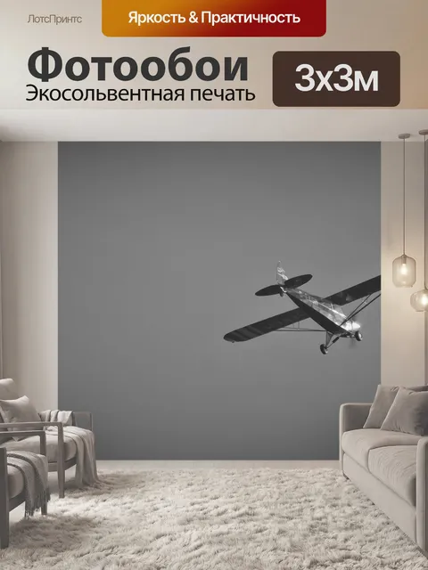Фотообои Самолет