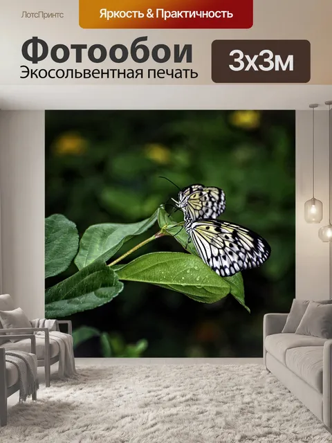 Фотообои Идея