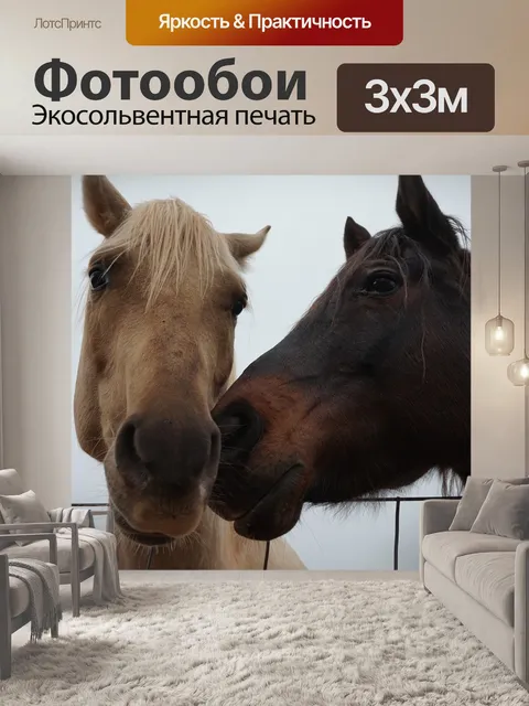 Фотообои Лошади