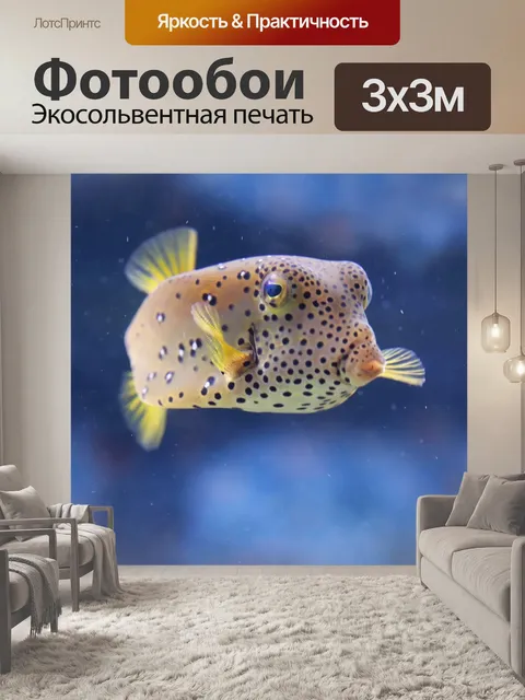 Фотообои Рыба фугу