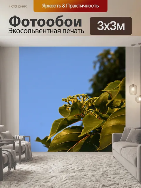 Фотообои листья и почки японского изюма