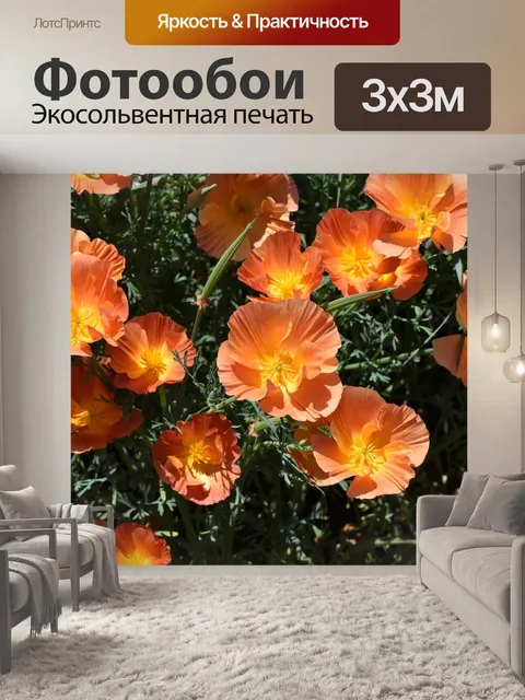 Фотообои Маки