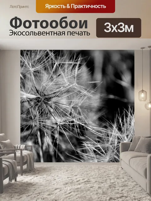 Фотообои Черно-белые одуванчики