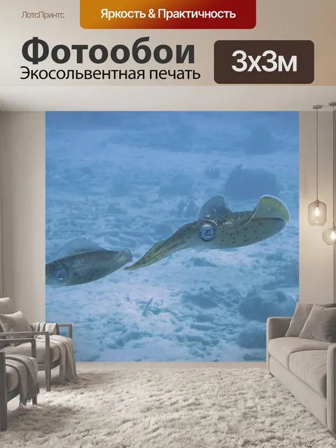 Фотообои Кальмар