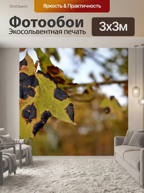 Фотообои Болезнь дегтярных пятен