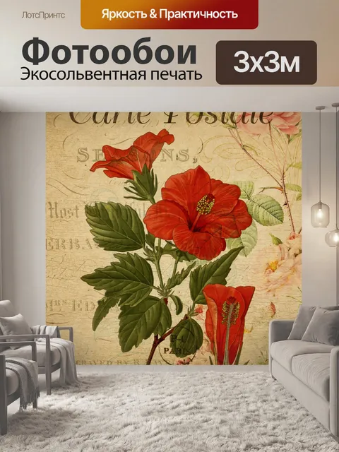 Фотообои Открытка с гибискусом и розой