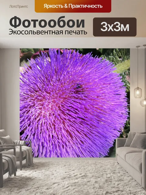 Фотообои Цветок