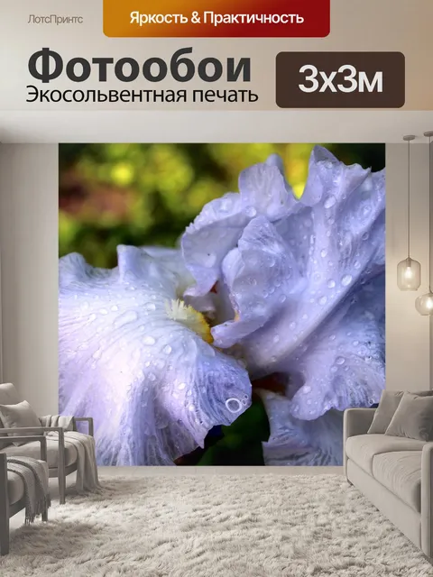 Фотообои Ирис