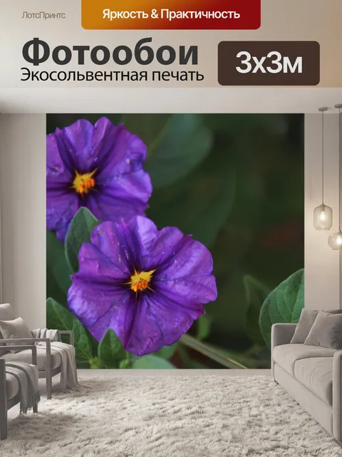Фотообои Два