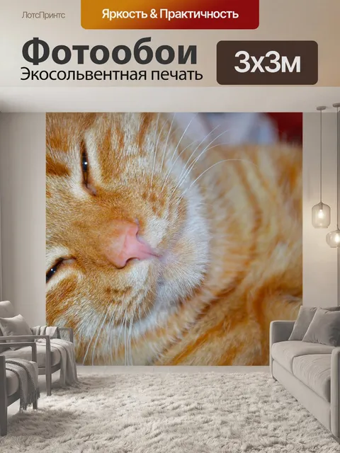 Фотообои Красный кобель