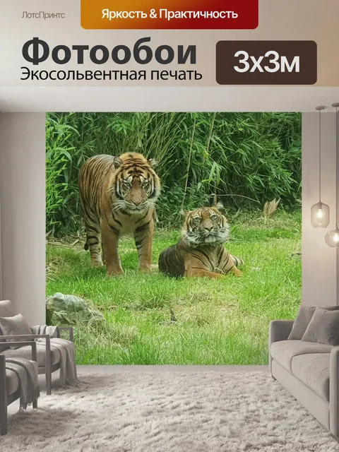 Фотообои Тигры