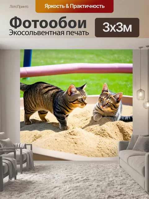 Фотообои коты, играющие в песочнице на детской площадке
