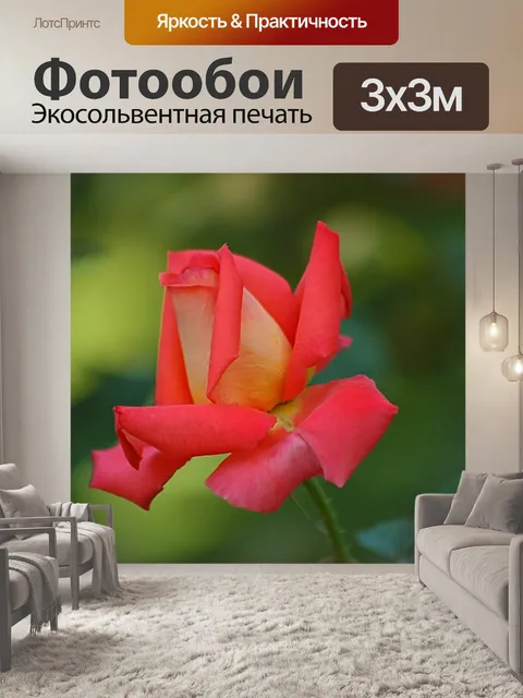 Фотообои Розовый