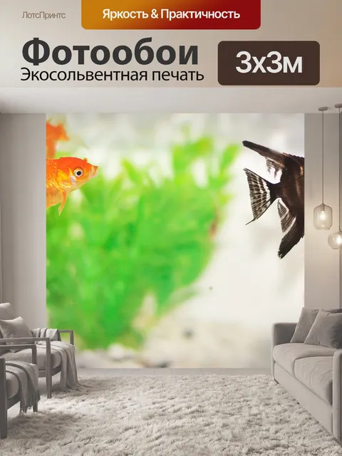 Фотообои Золотая рыбка в баке