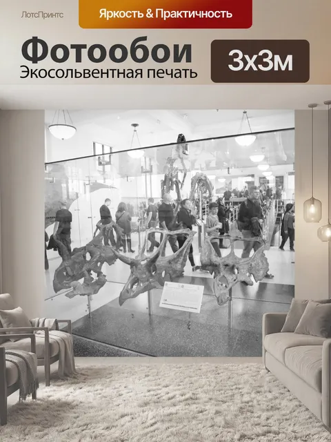 Фотообои Американский музей естественной истории