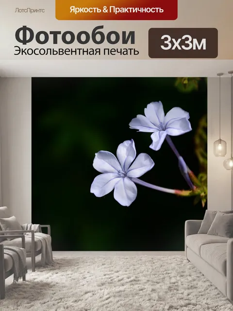 Фотообои Цветок