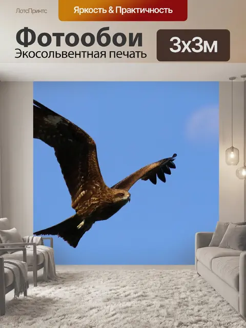 Фотообои Птицы