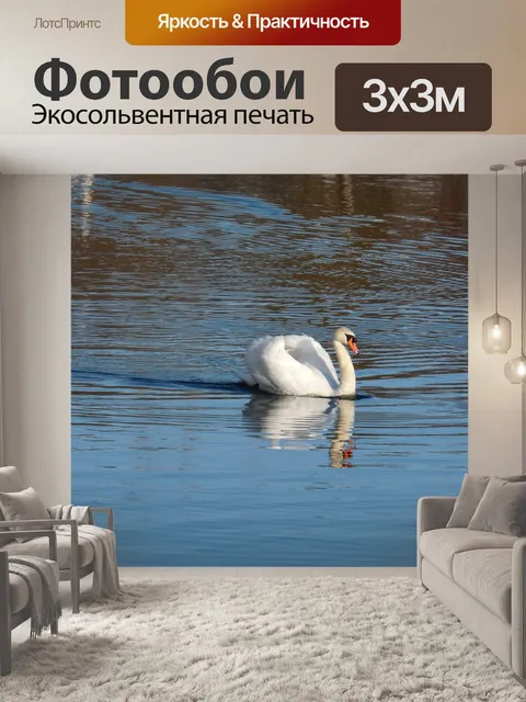Фотообои Лебедь