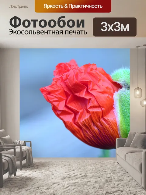 Фотообои Мак