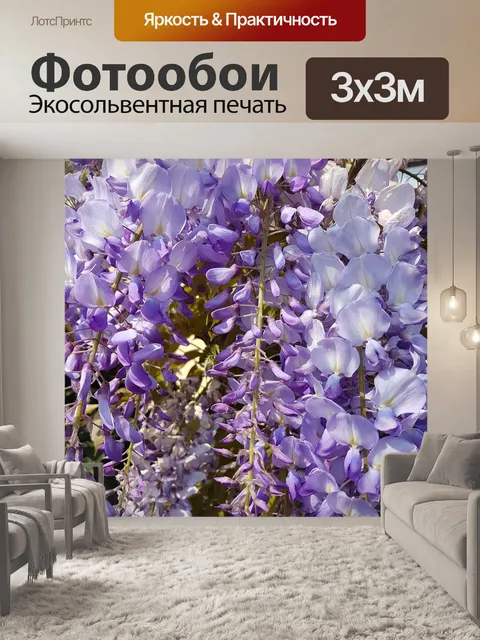 Фотообои Глициния