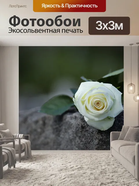 Фотообои Белая роза