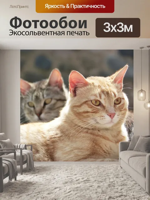 Фотообои Кошки