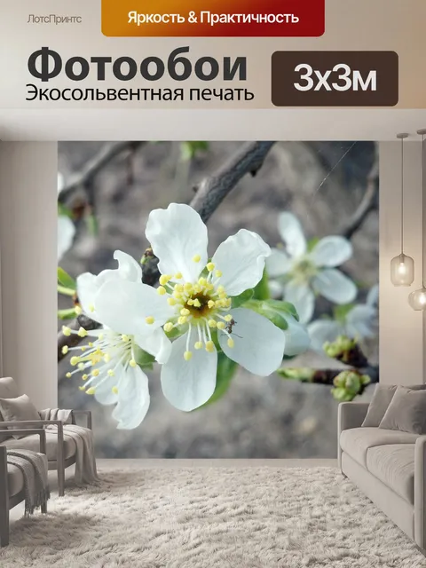 Фотообои Сливы цветок
