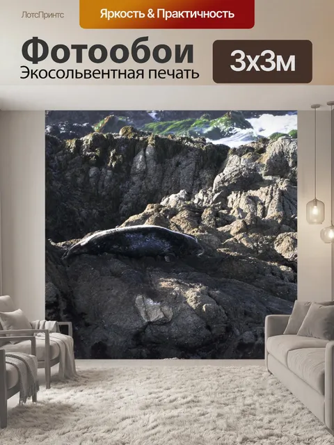 Фотообои Уплотнение покоится на скале