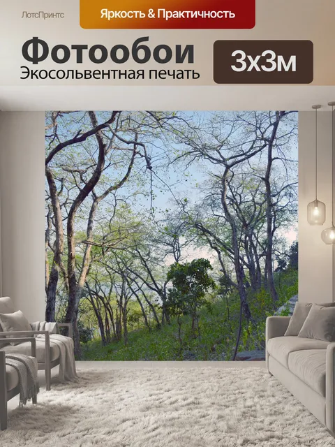 Фотообои Берега озера 3