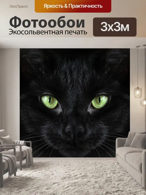 Фотообои Кот