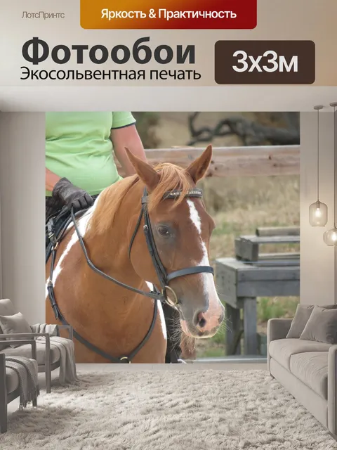 Фотообои Лошадь