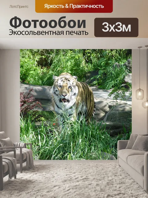 Фотообои Тигр