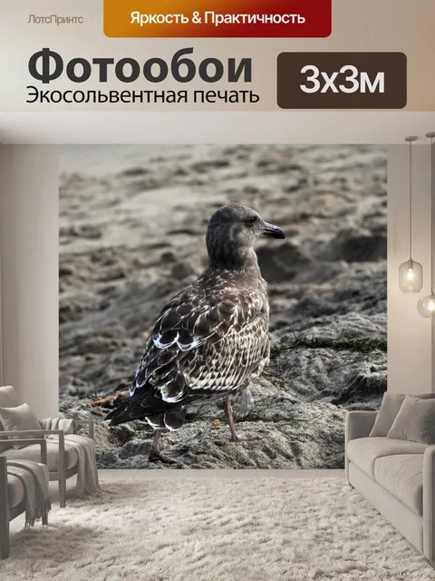 Фотообои Чайка в песок