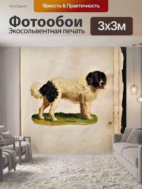 Фотообои Воспоминания перед ньюфаундлендом