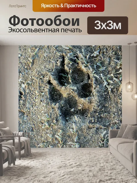 Фотообои Отпечаток лапы