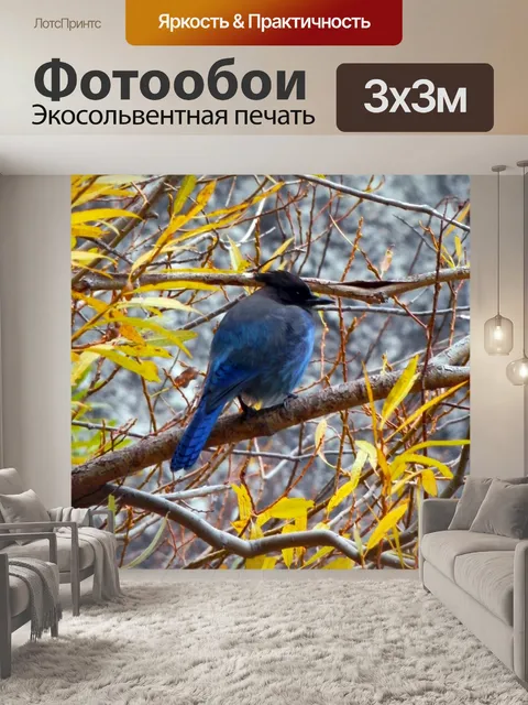 Фотообои Синяя птица